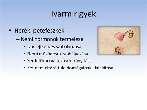 A herék fejlődésének és leszállásának folyamata
