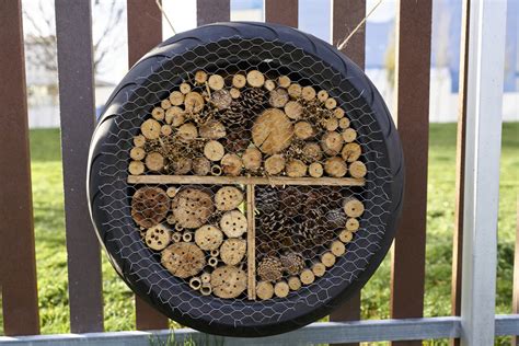 Rovarhotel infografika