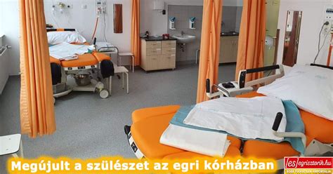 Egri szülészet