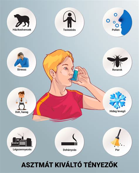 Dührohamot kiváltó tényezők infografika
