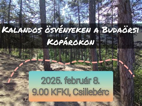 Túrázók a Budaörsi Kopárokon