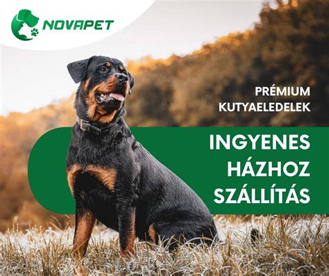 Különböző típusú kutyaeledelek