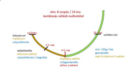 Az újszülöttkori aluszékonyság kritikus időszakát bemutató grafikon