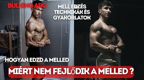 A mell felépítése