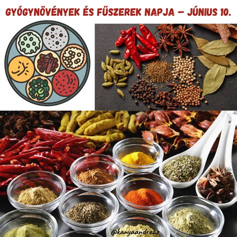 fűszerek és gyógynövények konyhai használata