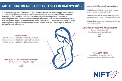 NIFTY teszt folyamata, vérvételtől az eredményig