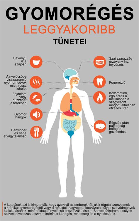 Infografika a hüvelygomba leggyakoribb tüneteiről