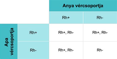 Rh-vércsoport összeférhetetlenség kialakulása