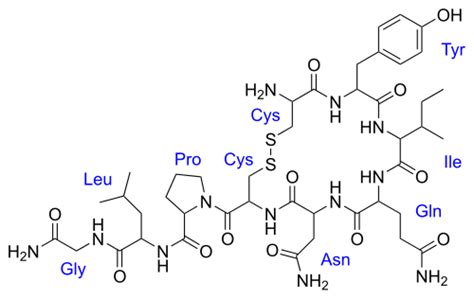 Az oxitocin molekula szerkezeti képlete