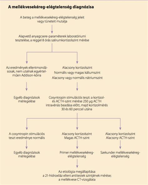 Diagnosztikai folyamatábra Addison-kór esetén
