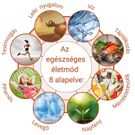 Egészséges életmódot bemutató ábra a vetélés kockázatának csökkentésére