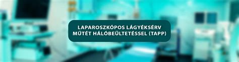 Laparoszkópos és hiszteroszkópos műtétek ábrája