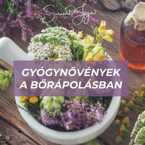 Gyógynövények a bőrápolásban