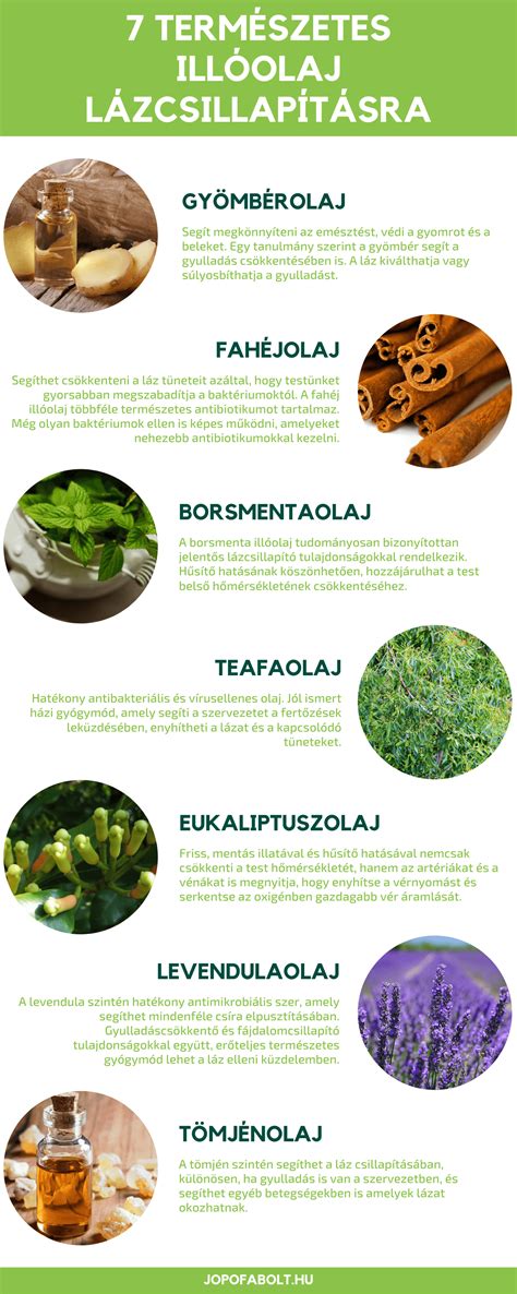 Hűtőborogatás alkalmazása lázcsillapításra