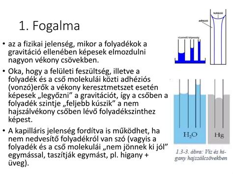 Az ovuláció fizikai jeleinek megfigyelése otthon