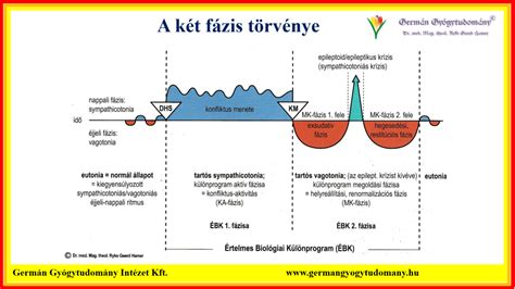 Aktív szülési fázis