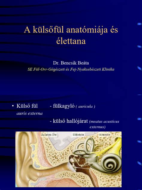 A fülkagyló veleszületett rendellenességei