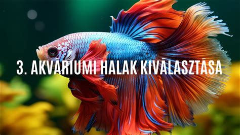 Kompatibilis akváriumi halak és garnélák