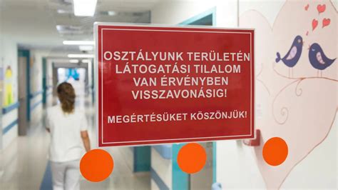 Infografika: A Medcenter Kft. bevételei és a sugárterápiás betegek száma