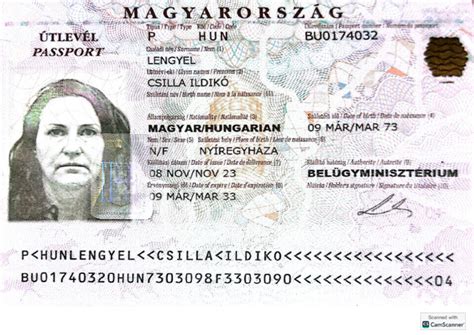 Útlevél típusok ikonokkal