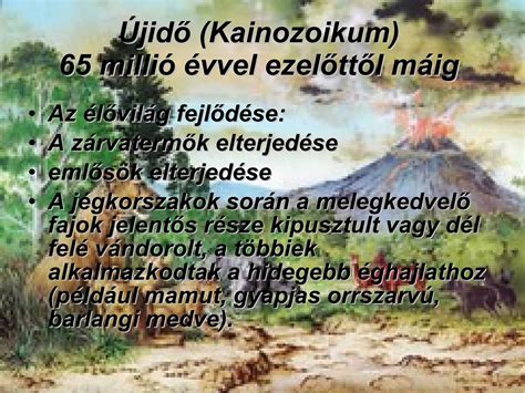 Babahordozó fejlődése az évszázadok során