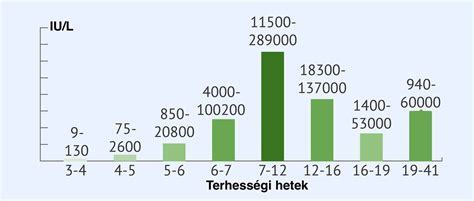 Terhességi vizsgálatok fontosságának infografikája