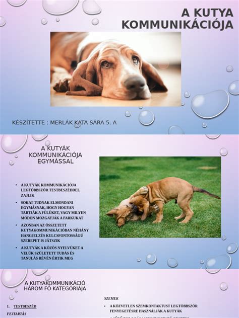 Pár kommunikációja