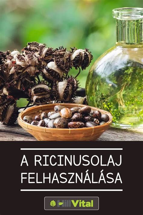 A ricinusolaj hatásmechanizmusa a méhre