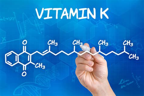 A K-vitamin szerepe a szervezetben