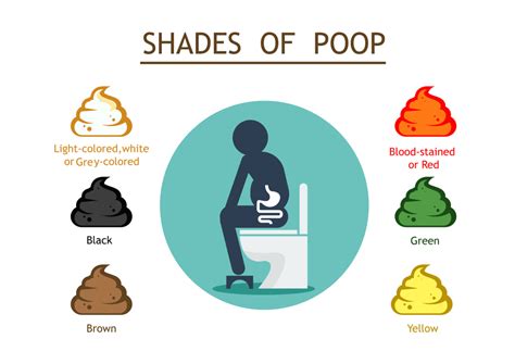 Zöld széklet okai infografika