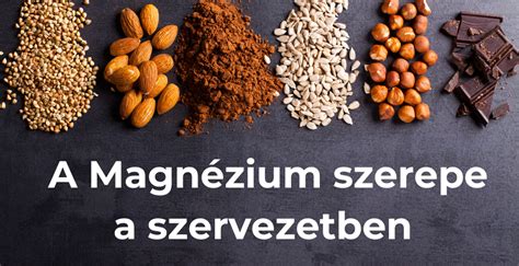A magnézium szerepe az emberi szervezetben