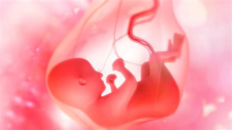 A köldökzsinór és a méhlepény mágikus ábrázolása.