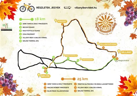 A betegellátási útvonalak sématerv