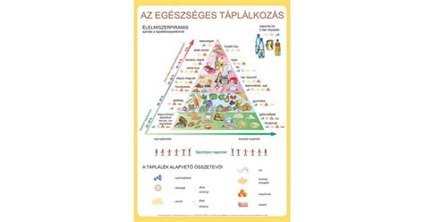 élelmiszerpiramis várandósoknak