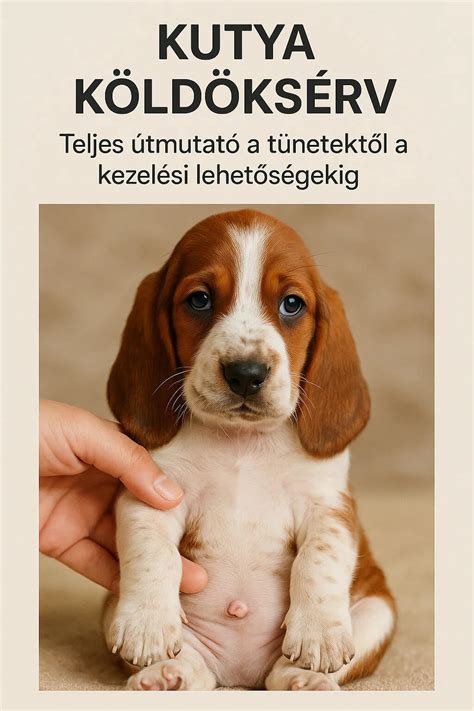 Köldöksérv ábrája