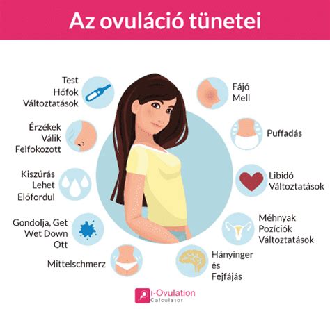 Bazális testhőmérséklet görbéje ovuláció alatt