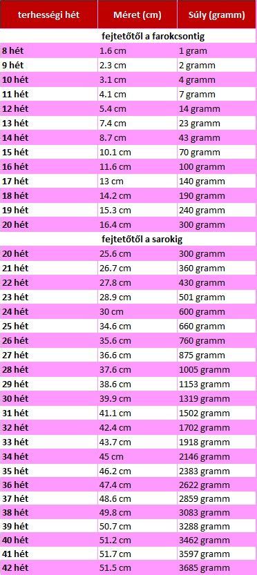 A magzat méretei a különböző terhességi hetekben