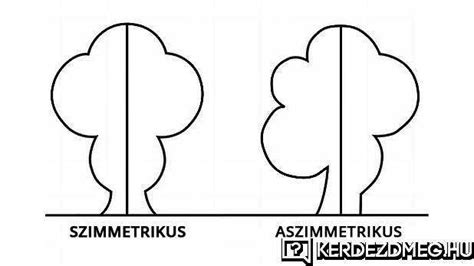 Ábra az aszimmetrikus és szimmetrikus IUGR összehasonlításáról