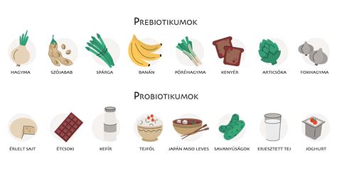 Bélflóra és probiotikumok jelentősége