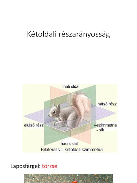 Vérképelemzés