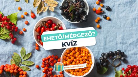 Homeopátiás bogyók és gyógynövények