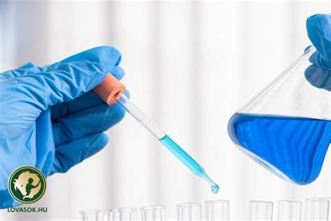 Mesterséges termékenyítés lóval