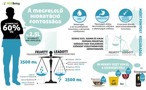 infografika a megfelelő hidratáció fontosságáról a terhesség alatt
