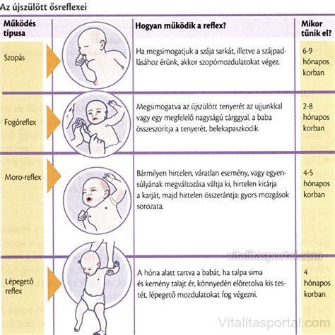 Újszülött reflexek illusztráció