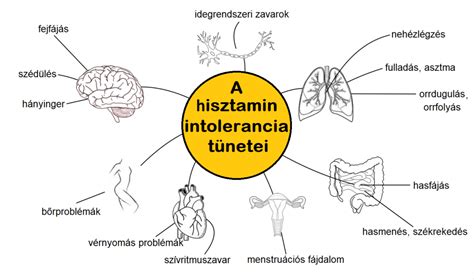 A tejfehérje intolerancia gyakori tüneteit illusztráló táblázat