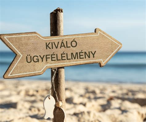 Ügyfélelégedettség grafikonja