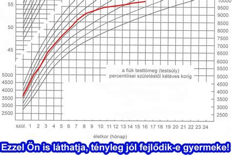 Percentilis görbék a súlyfejlődéshez
