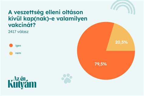 Egy diagram, amely a kutya aktivitási szintje és táplálékigénye közötti összefüggést mutatja.