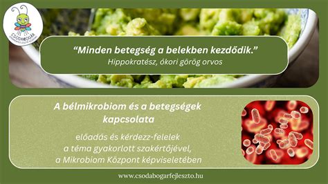 A bélmikrobiom és a terhesség