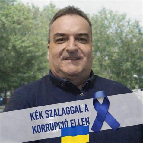 Ludvig Csilla portréja